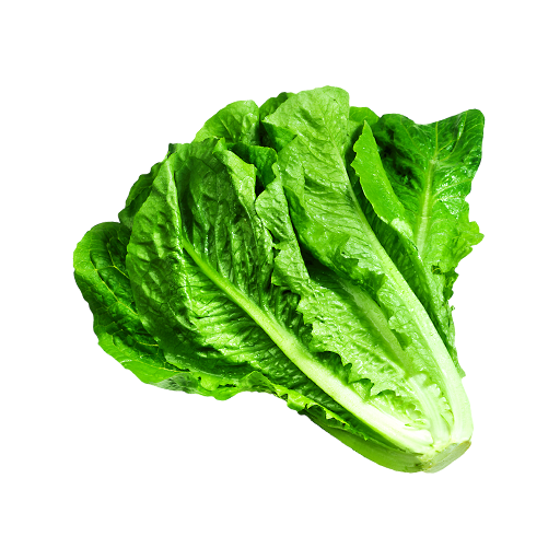 Vegetables